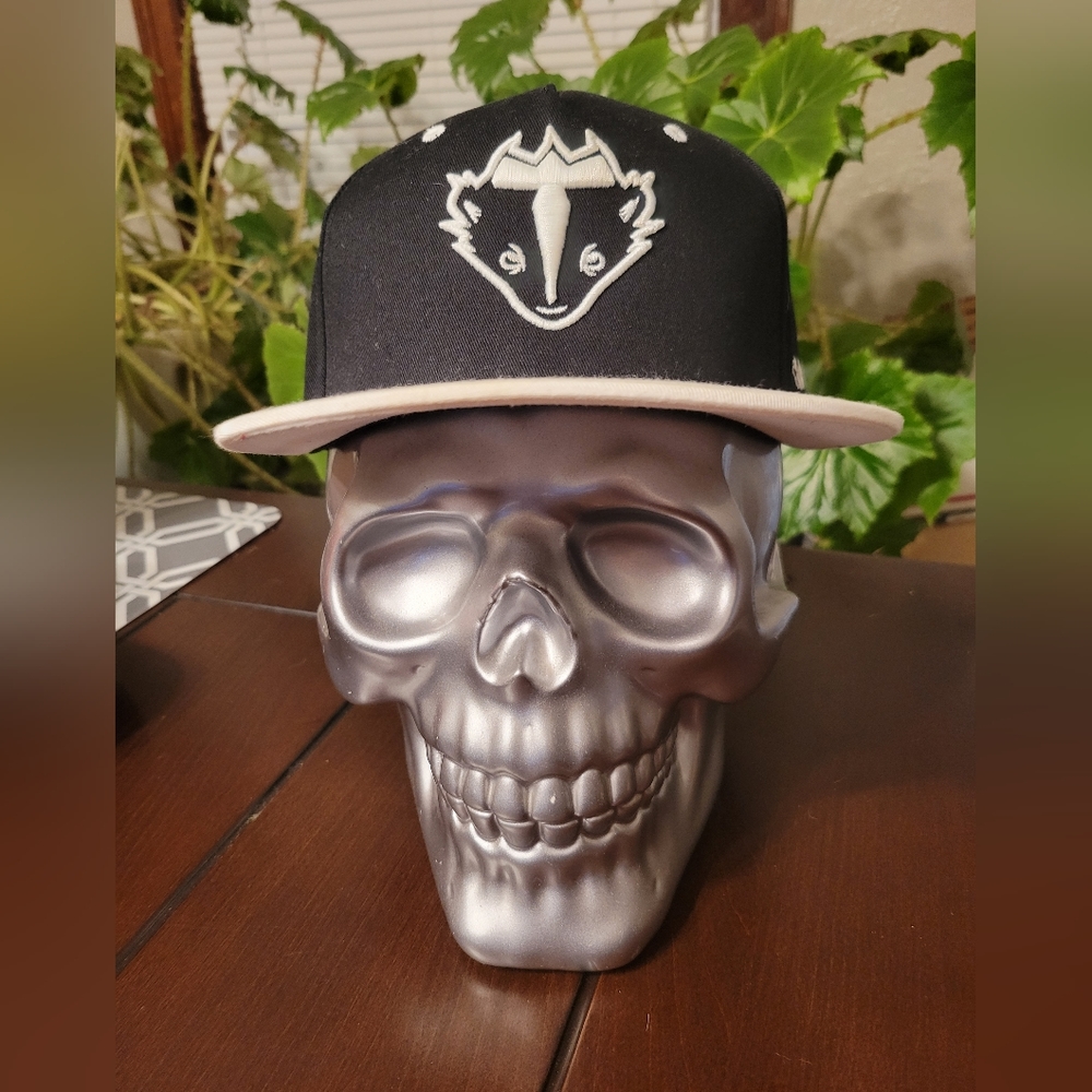 BLAZE1 SKUNK SNAPBACK